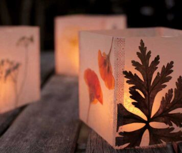 Pressed Flower Luminaria Image